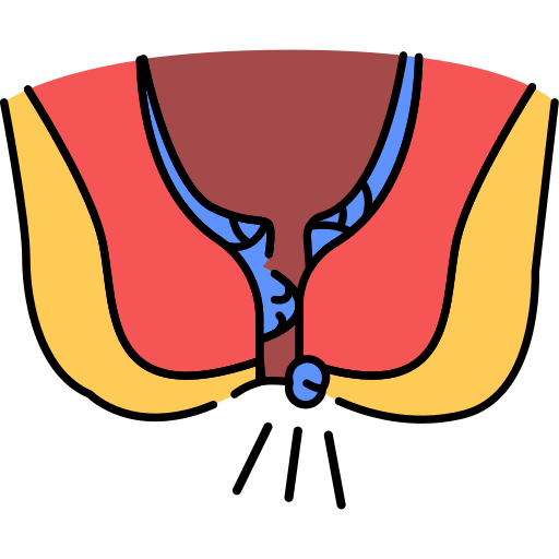 appendix icon